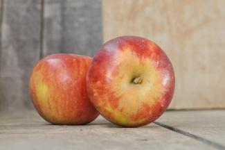 Fruit Albemarle Ciderworks Vintage Virginia Apples - 